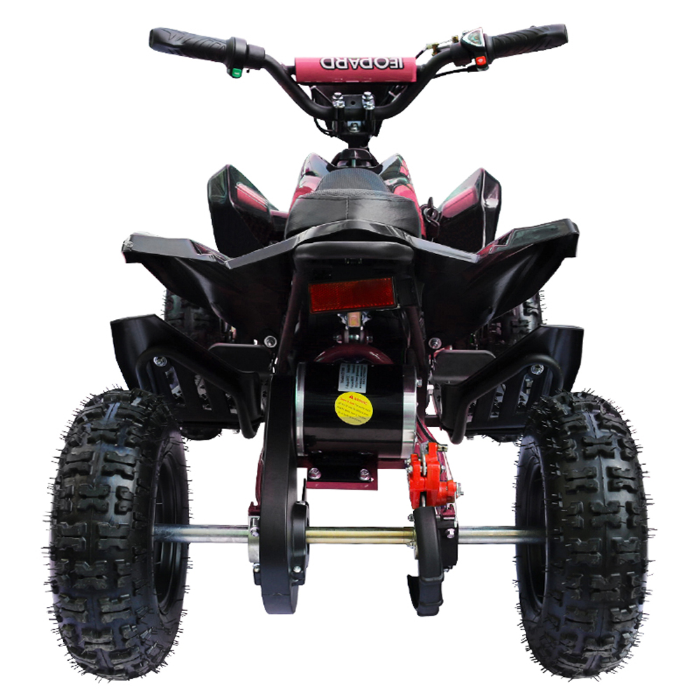 electric quad bike 6v