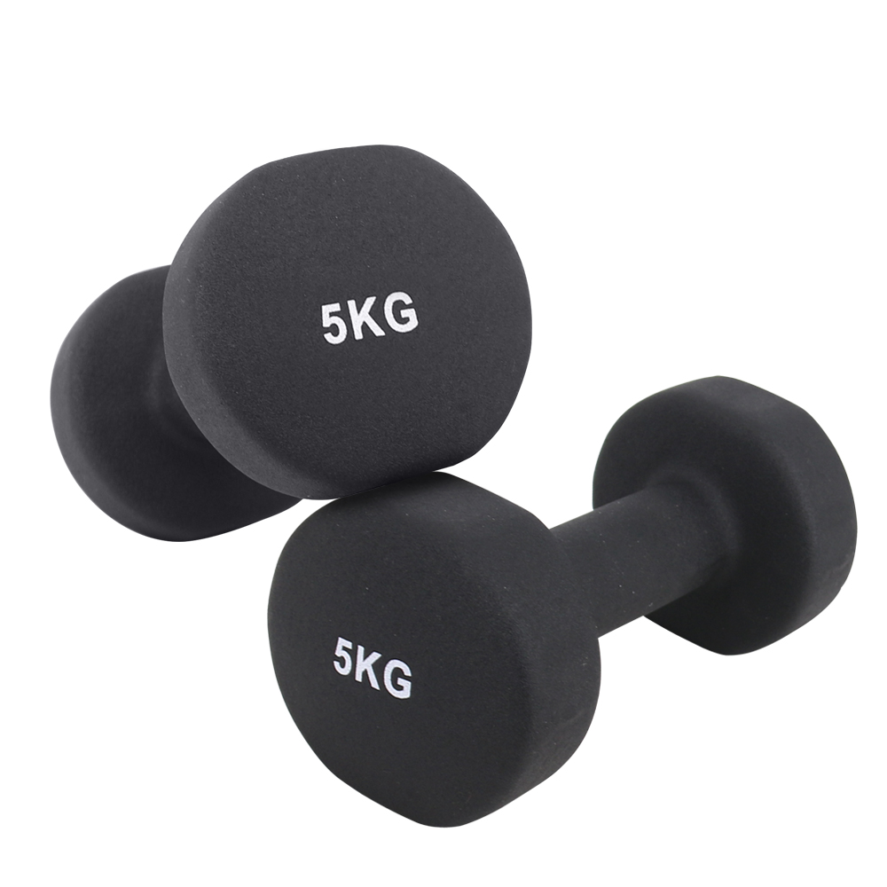 SET OF 2 Hex Dumbbells Cast Iron Weights Ladies Gym Workout Aerobic UK 