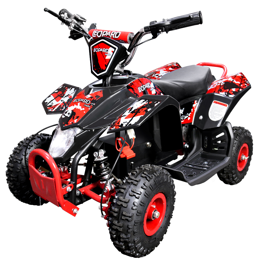 electric quad bike 800w